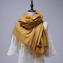 Load image into Gallery viewer, Women Solid Color Cashmere Scarves With Tassel Lady Winter Autumn Long Scarf Thinker Warm Female Shawl Hot Sale Men Scarf