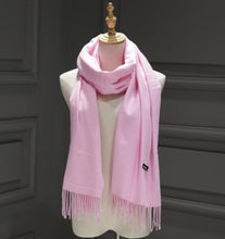 Load image into Gallery viewer, Women Solid Color Cashmere Scarves With Tassel Lady Winter Autumn Long Scarf Thinker Warm Female Shawl Hot Sale Men Scarf