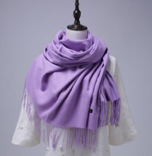 Load image into Gallery viewer, Women Solid Color Cashmere Scarves With Tassel Lady Winter Autumn Long Scarf Thinker Warm Female Shawl Hot Sale Men Scarf